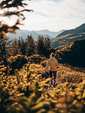 Wandern