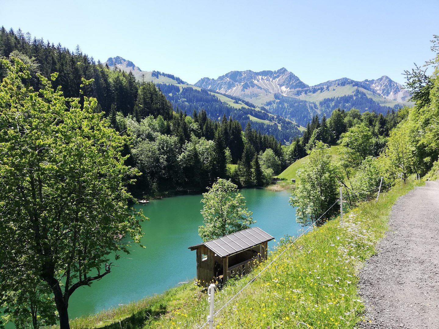 Seewaldsee Fontanella Damüls Faschina Tourismus