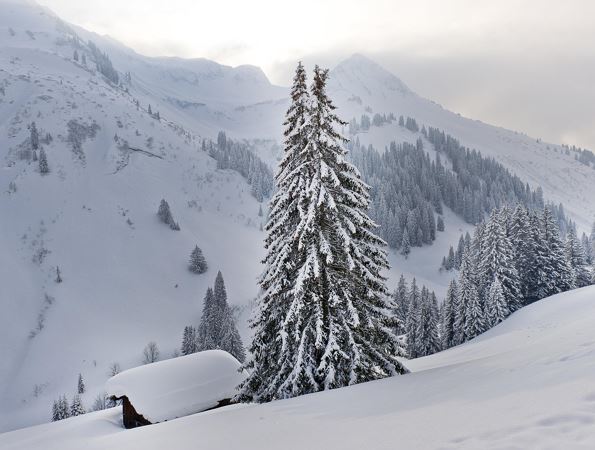 Winterlandschaft in Damüls