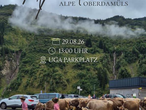 Alpabtrieb Alpe Oberdamüls