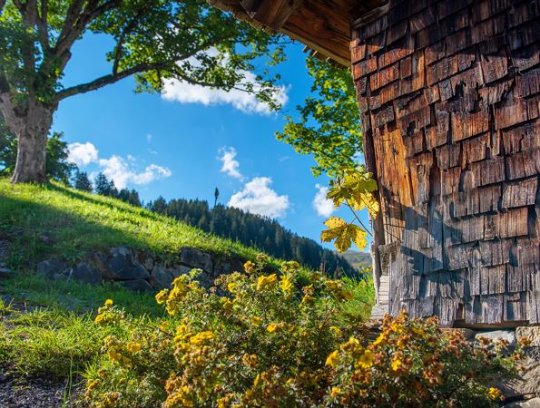 Herbststimmung ©huber Images