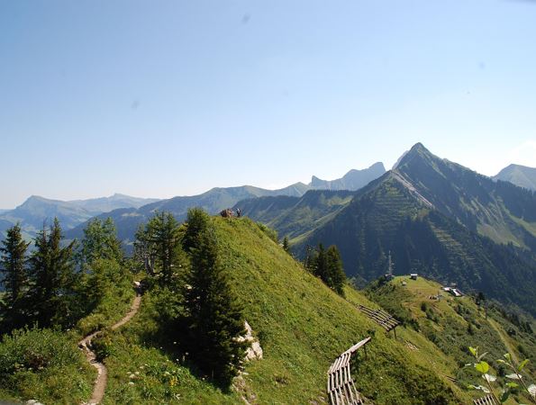 Geführte Blumen-Lehrpfad-Wanderung