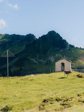 Guided hike