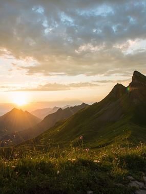 Erlebniswanderung mit Sennereibesichtigung mit Wanderführerin Verena Bischof