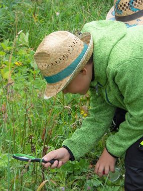 Naturzeit für kleine & große Entdecker