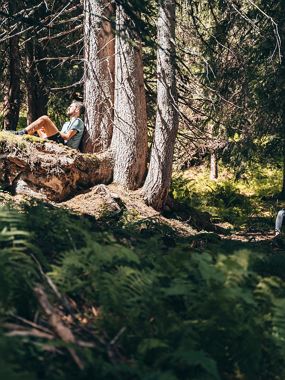 Forest bathing in Damüls - Wellness in the forest with Dorothea Nachbaur