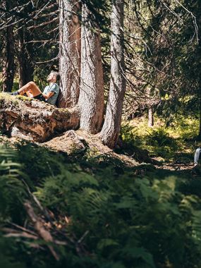 Forest bathing in Damüls - Wellness in the forest with Dorothea Nachbaur