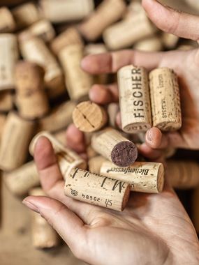 Wine pleasure hike with the hiking guide Verena Bischof