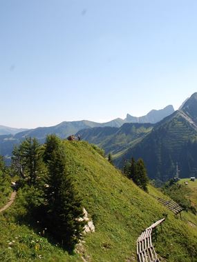 BERGaktiv Unterwegs auf dem Blumen-Wanderlehrpfad
