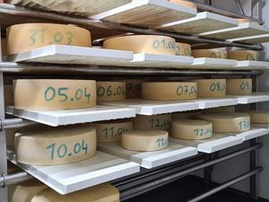 Käse  © Kurt Stark