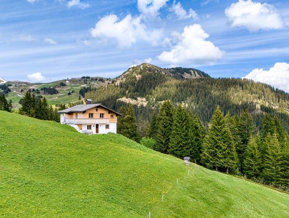 Haus_Haemmerle_BY_MATTHIAS_RHOMBERG_016