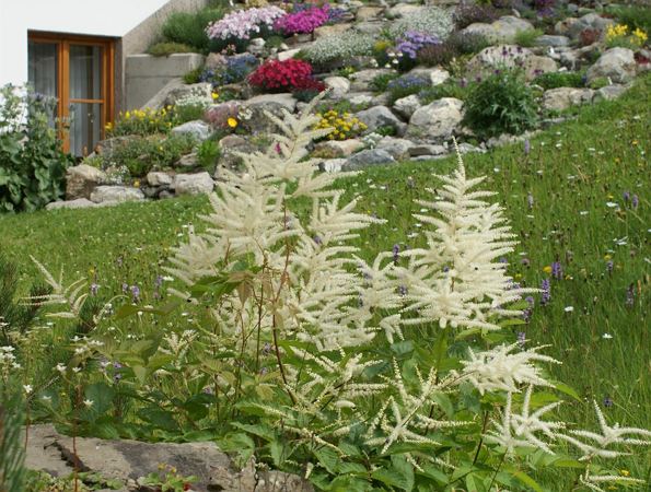 Garten...