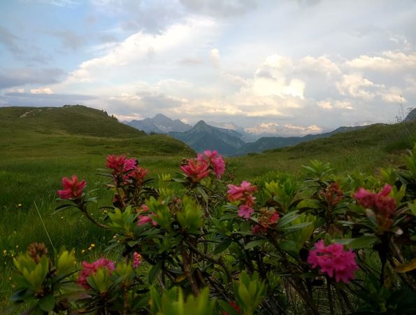 Sommer (6)