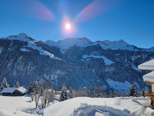 Ausblick Sonntag Stein Winter