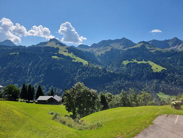 Ausblick Sonntag Stein