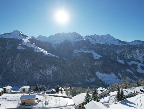 Ausblick