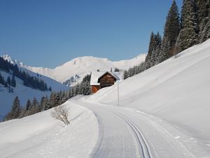 Loipe und Winterwanderweg Unterdamüls