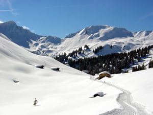 Loipe und Winterwanderwg Unterdamüls