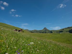 Sommerlandschaft Damüls