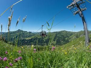 Wandergebiet Damüls