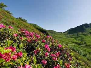 Wandergebiet Damüls