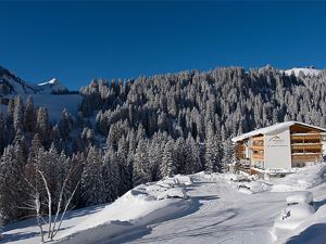 4-sterne-berghotel-madlener-damuels-ganzjahres-alp