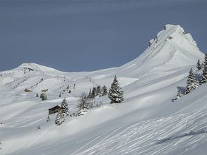 4-sterne-berghotel-madlener-damuels-ganzjahres-alp
