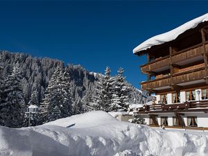 4-sterne-berghotel-madlener-damuels-ganzjahres-alp