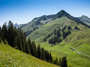 4-sterne-berghotel-madlener-damuels-ganzjahres-alp