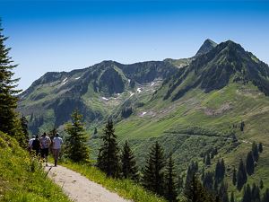 4-sterne-berghotel-madlener-damuels-ganzjahres-alp