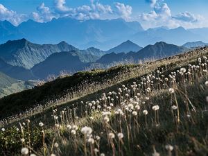 4-sterne-berghotel-madlener-damuels-ganzjahres-alp