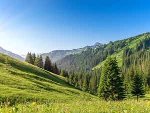 1_Wiese_Stadel_HUP8386-1