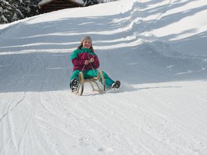 Rodeln in Damüls (c) Huber Images - Damüls Faschin