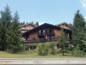 Ferienhaus Rümmele Ansicht im Sommer