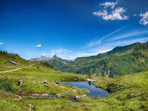 Alpe Oberdamüls (c) Huber Images - Damüls-Faschina