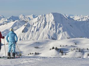Panoramablick im Skigebiet Damüls-Mellau (c) Sepp 