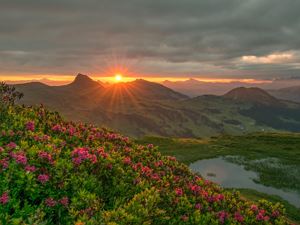Sonnenaufgang am Portlahorn (c) Michael Meusburger