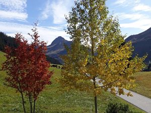 20170930_131837(0)