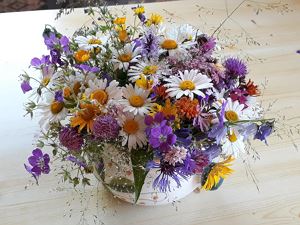 Wunder der Natur