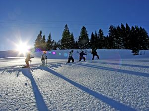 Schneeschuhwandern Tiefenwald