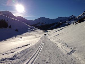 Loipe und Schmuseweg