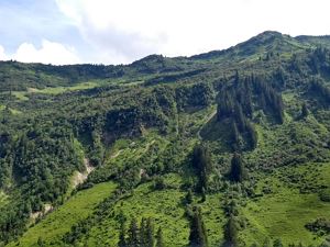 Ansicht Blumenwanderweg