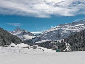 Skigebiet Damüls - Mellau