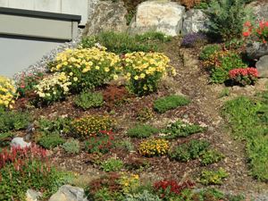 Hölderle Appartements Blumen