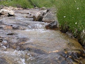 Bach Damüls Hotel - Garni Alpina