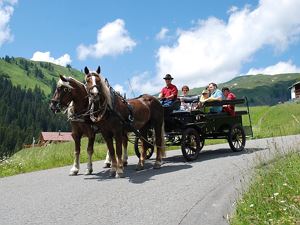 Kutschenfahrt