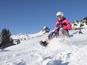 rodeln-damuels-2 - Kopie