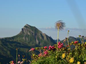 Sonnenunterganswanderung zum Portlahorn Alpina