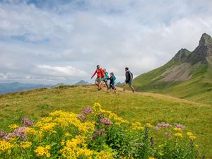 Wandern in Damüls mit Blick auf die Mittagsspitze