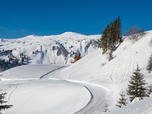 Winterimpressionen_Jan_HKR9279